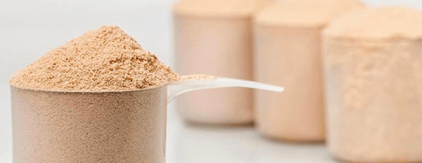 whey-protein-guide-header.png